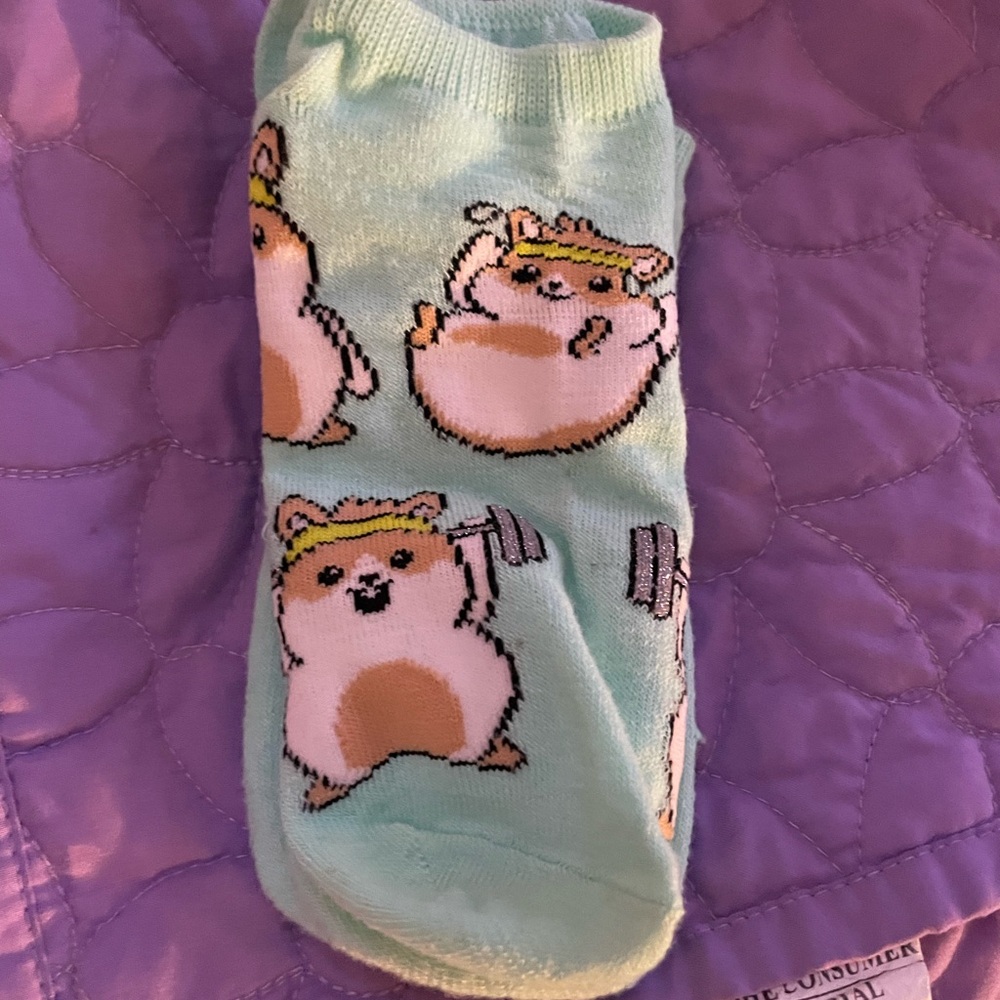 Hamster Socks